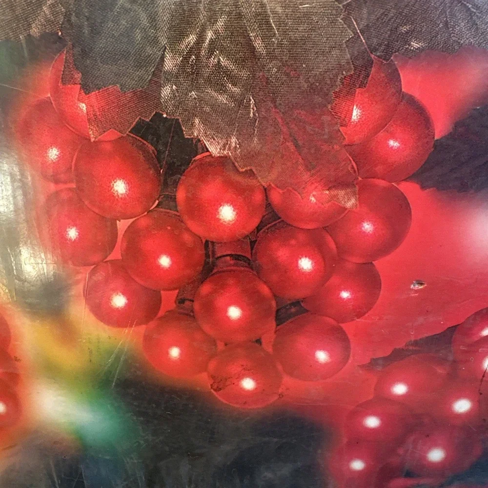 Vintage Red Grape Cluster Lights Indoor/Outdoor 6 Clusters New Sealed Box 2 Pack